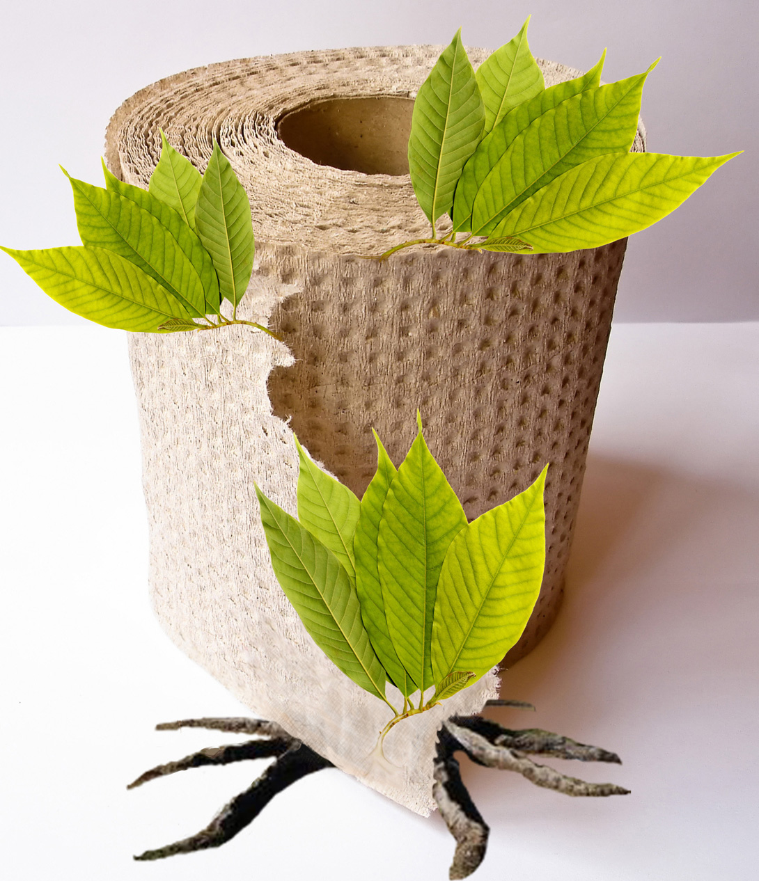 Photoshop Design by KimSouza for DesignCrowd (Community Contests) | Design #8970642