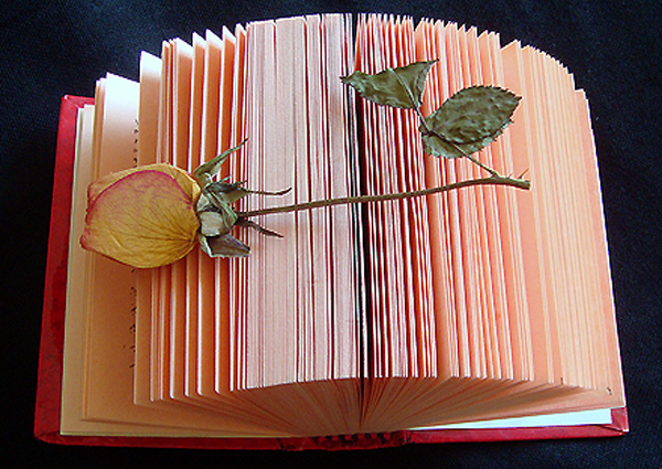 Photography by memool for DesignCrowd (Community Contests) | Design #8969015