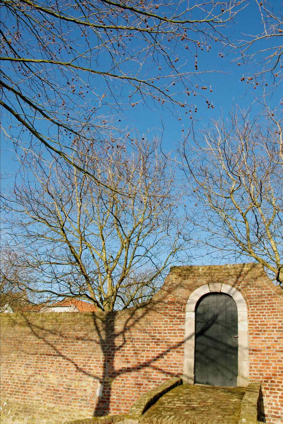 Photography by Roel1969 for DesignCrowd (Community Contests) | Design #8968378