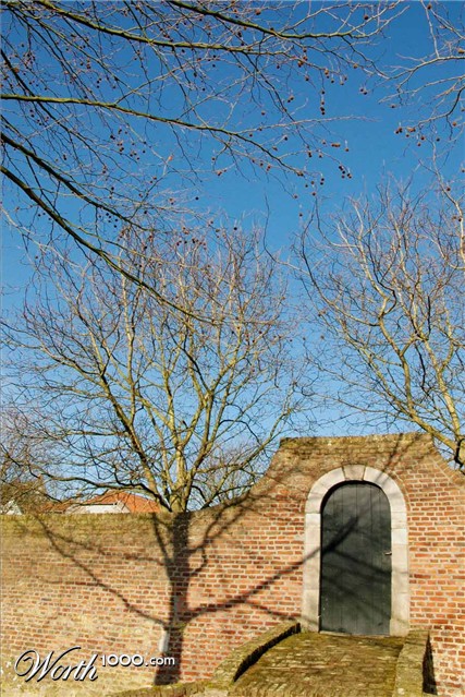 Photography by Roel1969