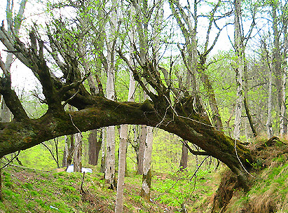 Photography by memool for DesignCrowd (Community Contests) | Design #8967572