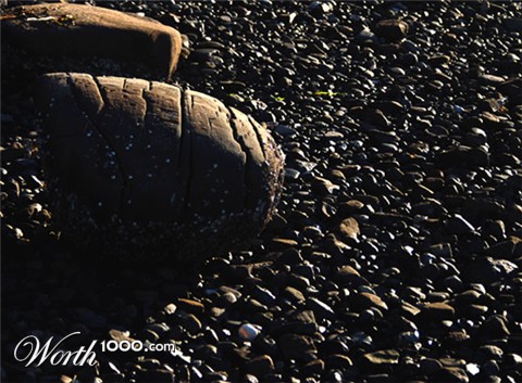 Photography by SeeVee