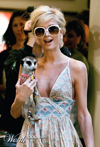 Photoshop Design by ilovekarate