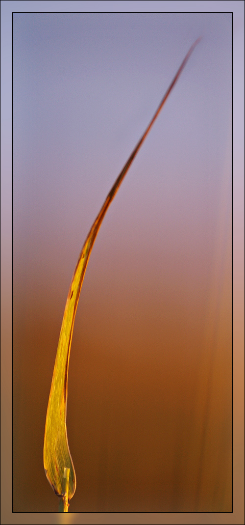 Photography by MasterGnu for DesignCrowd (Community Contests) | Design #8967785