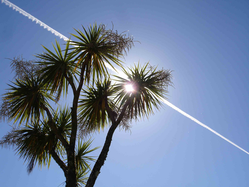 Photography by pradygadaria for DesignCrowd (Community Contests) | Design #8967555