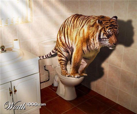 Photoshop Design by nebfronet