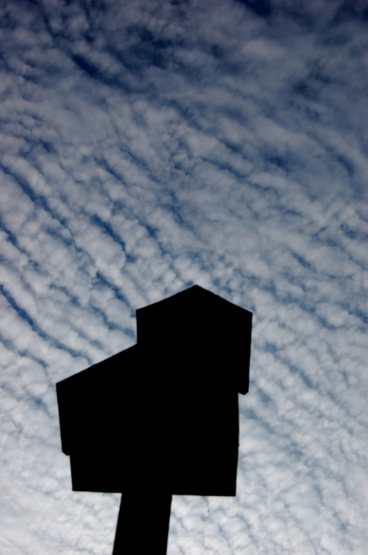 Photography by Chimmi for DesignCrowd (Community Contests) | Design #8967923