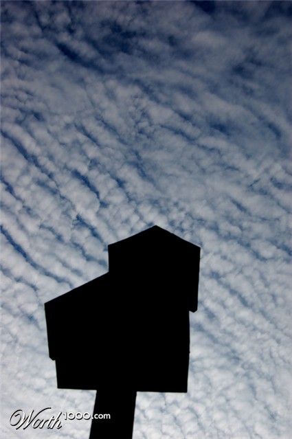 Photography by Chimmi