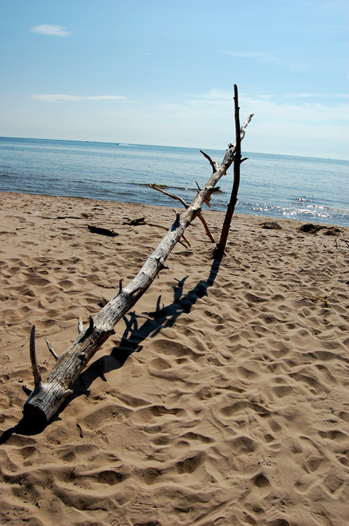 Photography by Chimmi for DesignCrowd (Community Contests) | Design #8967558