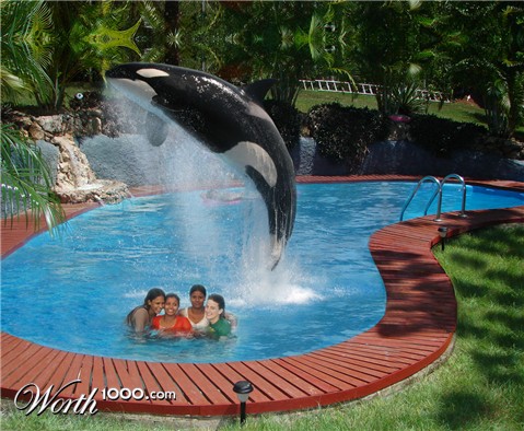 Photoshop Design by wickedwebart