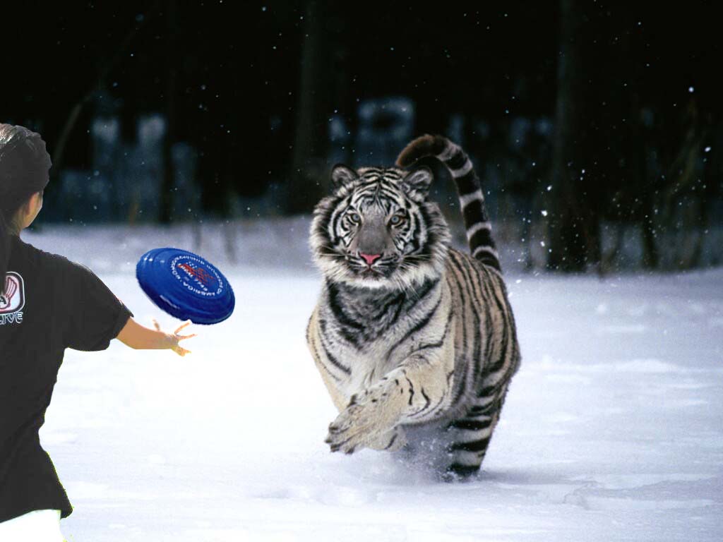 Photoshop Design by studiotexsmyth for DesignCrowd (Community Contests) | Design #8969190