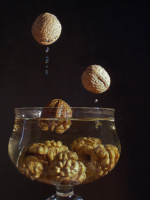 Photography by amirbse for DesignCrowd (Community Contests) | Design #8973601