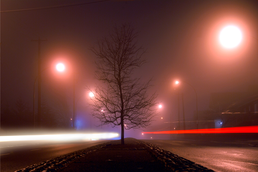 Photography by CharlieFedora for DesignCrowd (Community Contests) | Design #8967597