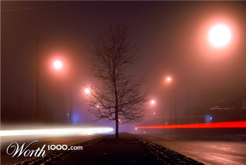 Photography by CharlieFedora