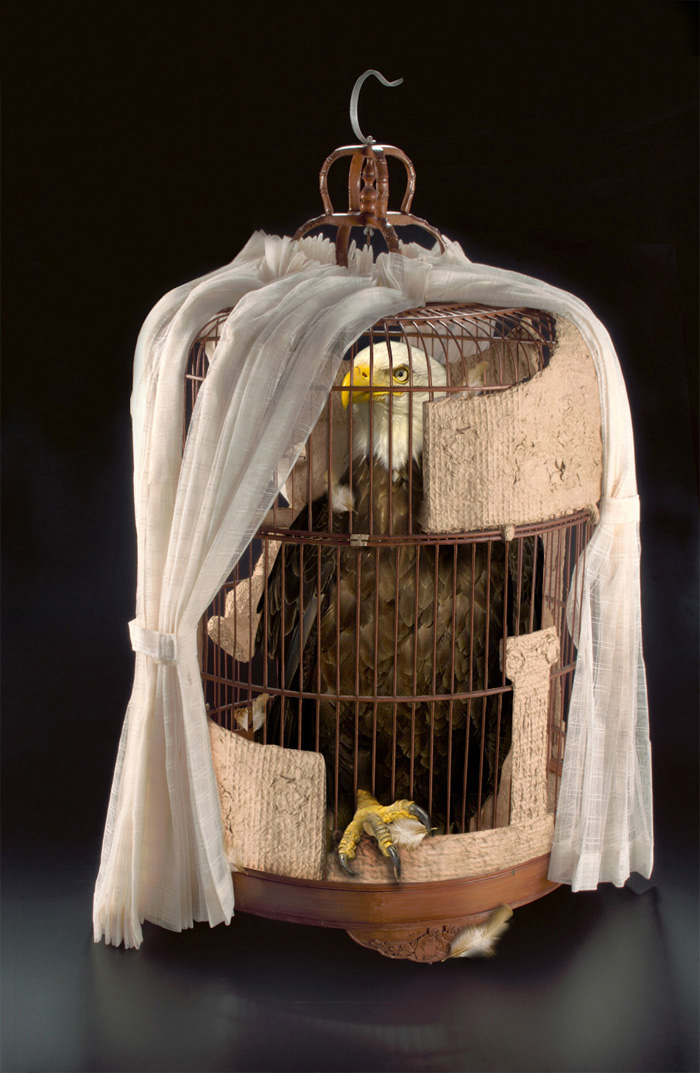 Photoshop Design by Seba86 for DesignCrowd (Community Contests) | Design #8969229