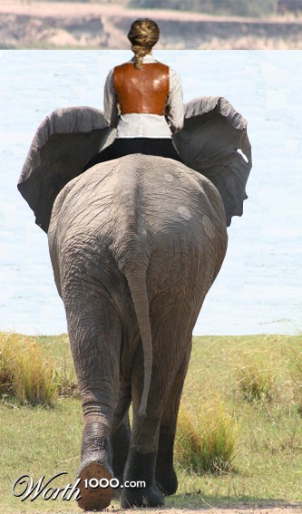 Photoshop Design by alesiphoto