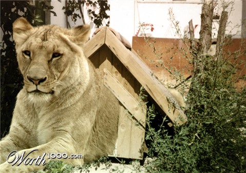 Photoshop Design by subhani