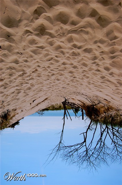 Photography by Chimmi