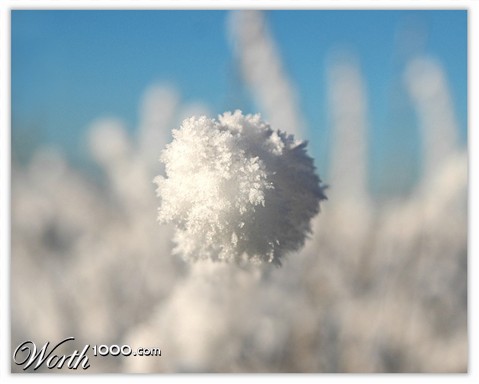 Photography by Roel1969