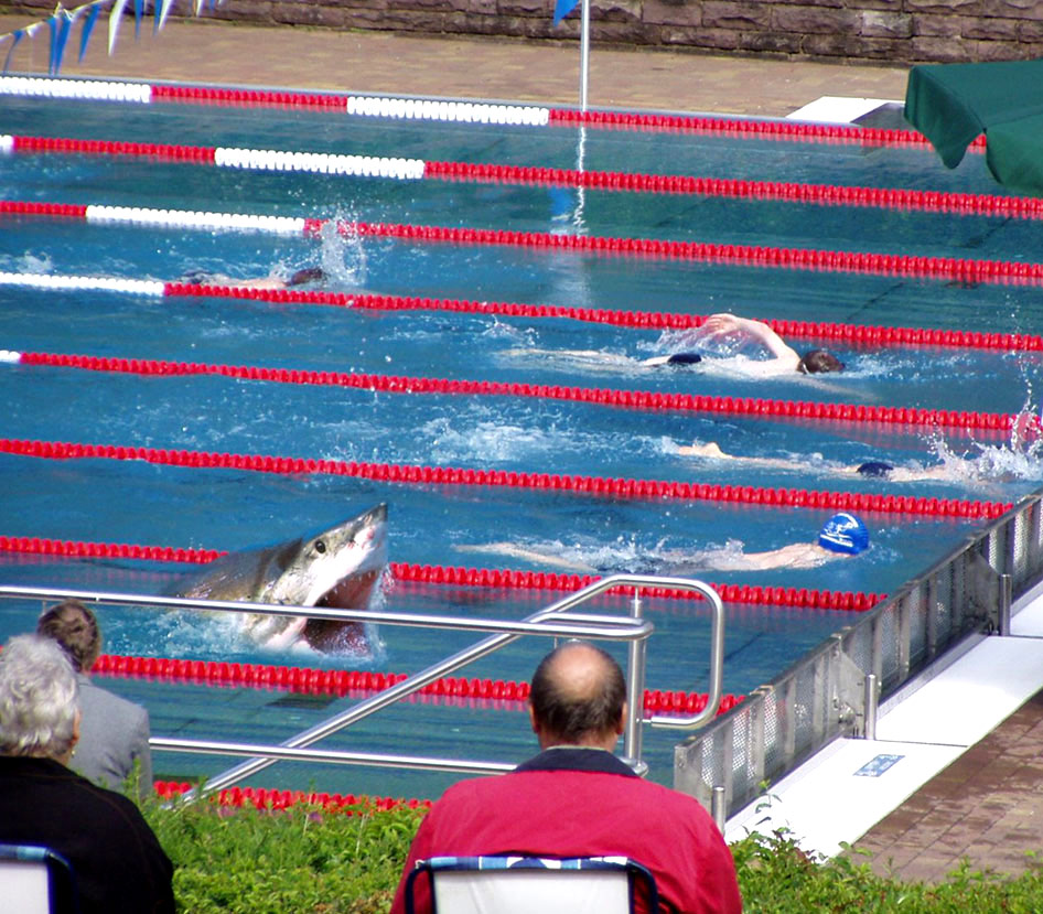 Photoshop Design by shelbyzman for DesignCrowd (Community Contests) | Design #8969273