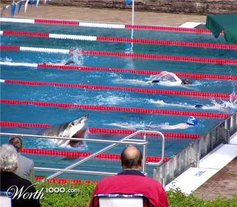 Photoshop Design by shelbyzman