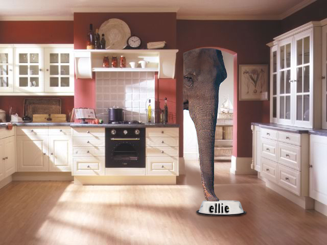 Design Photoshop par DeeWhite pour DesignCrowd (Community Contests) | Design #8969262