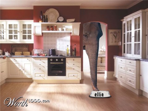 Photoshop Design by DeeWhite