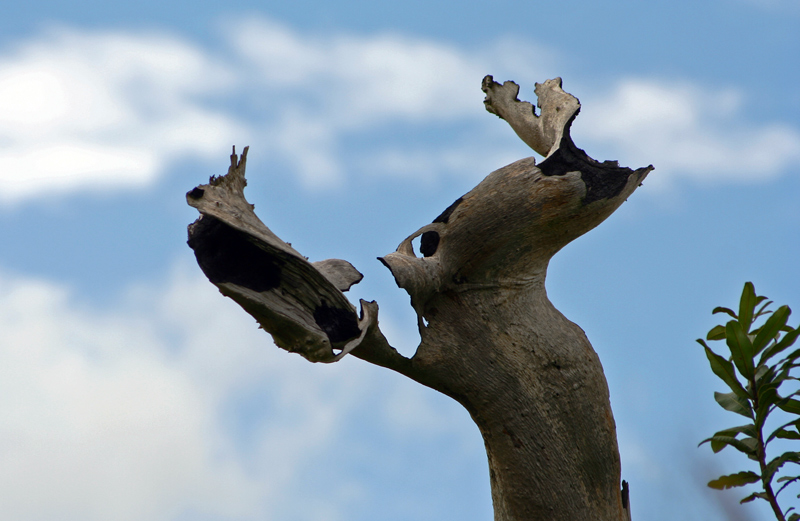 Photography by simonfish for DesignCrowd (Community Contests) | Design #8967600