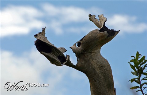 Photography by simonfish