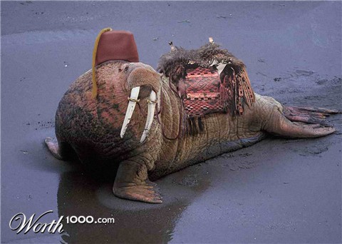 Photoshop Design by Solipse1