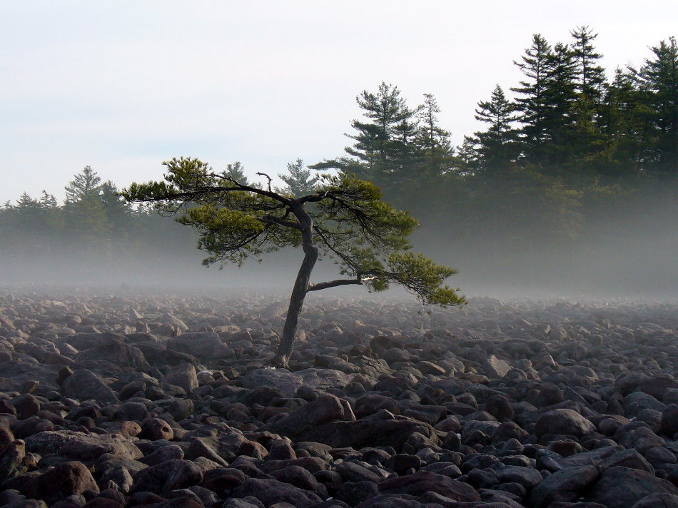 Photography by j9mayer for DesignCrowd (Community Contests) | Design #8967611