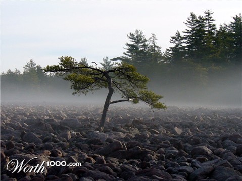 Photography by j9mayer