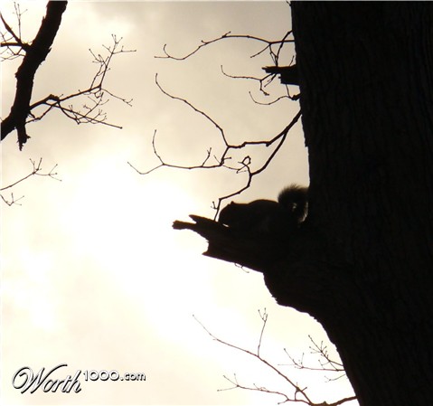 Photography by j9mayer