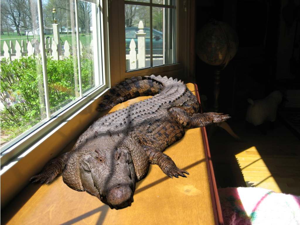 Diseño de Photoshop por reliable para DesignCrowd (Community Contests) | Diseño #8969315