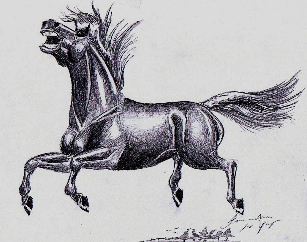 Illustration Design by Handsomesgirl for DesignCrowd (Community Contests) | Design #8968433