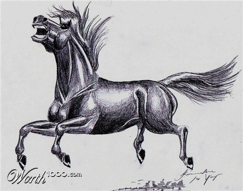 Illustration Design by Handsomesgirl