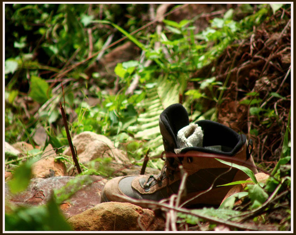 Fotografía por nitingale para DesignCrowd (Community Contests) | Diseño #8968550