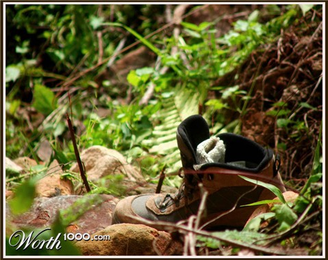 Photography by nitingale