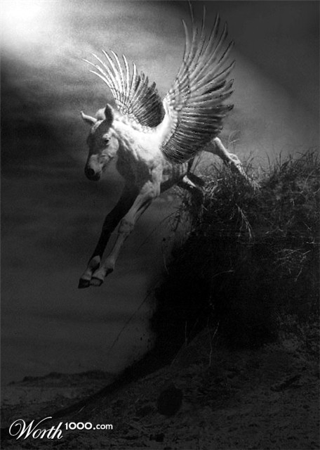 Photoshop Design by Handsomesgirl