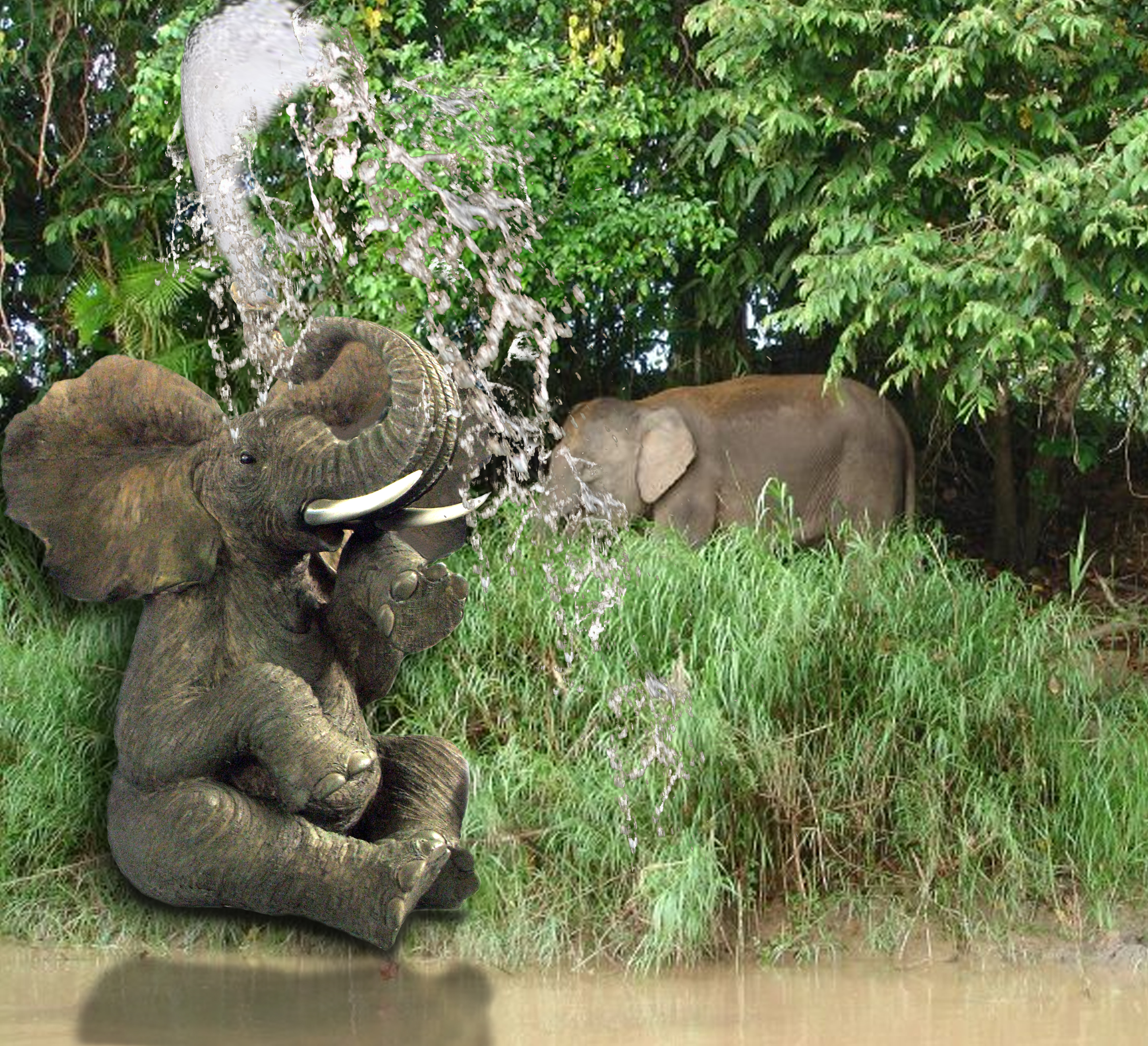 Diseño de Photoshop por iva76gr para DesignCrowd (Community Contests) | Diseño #8971145