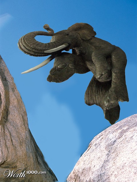 Photoshop Design by studiotexsmyth