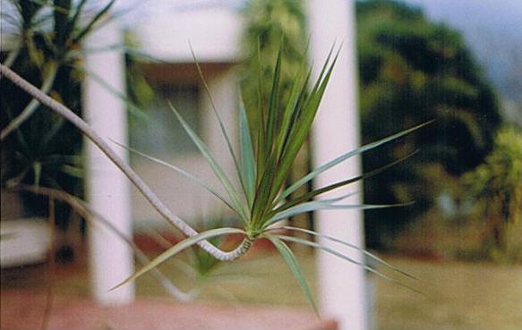 Photography by ISAH23 for DesignCrowd (Community Contests) | Design #8967584