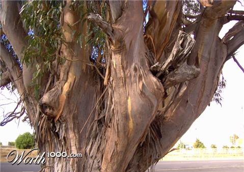 Photography by rexybaby