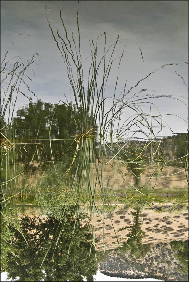 Fotografie von ClickChick für DesignCrowd (Community Contests) | Design #8968712