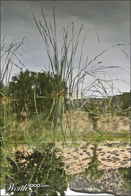 Photography by ClickChick