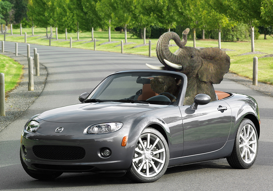 Photoshop Design by pimpmac for DesignCrowd (Community Contests) | Design #8971181