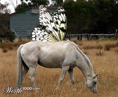 Photoshop Design by fazhead