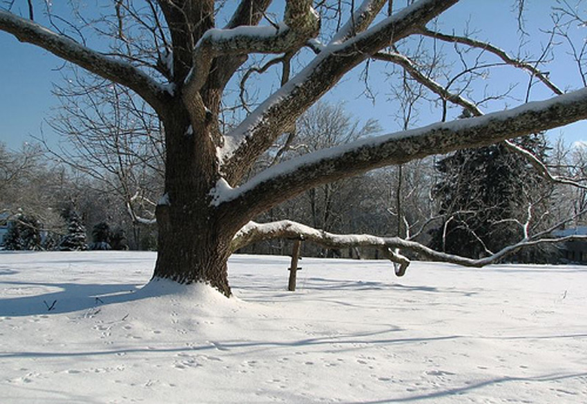 Fotografie von rocky0009 für DesignCrowd (Community Contests) | Design #8967604