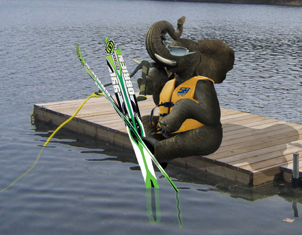 Design Photoshop par BlueHeron pour DesignCrowd (Community Contests) | Design #8971236