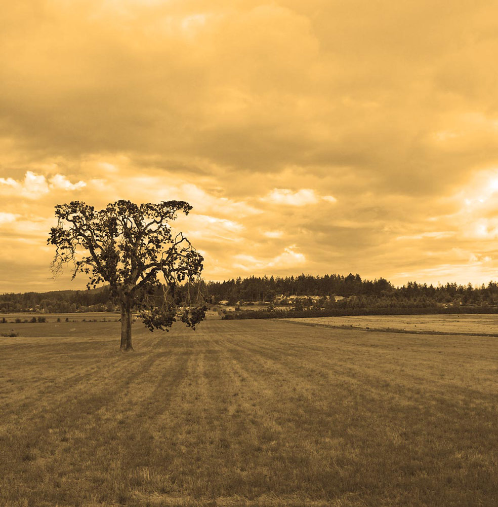 Photography by SteelMonkey for DesignCrowd (Community Contests) | Design #8967580